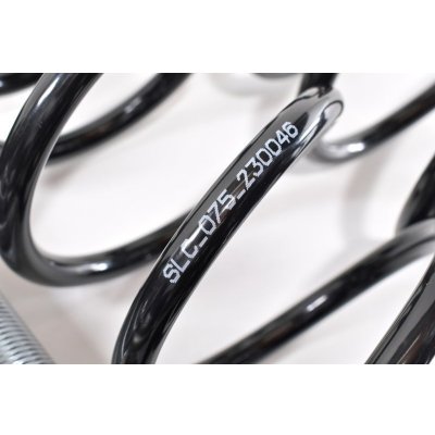 画像7: フルタップ車高調 RIGEL リゲル TOYOTA ZYX10 C-HR CHR